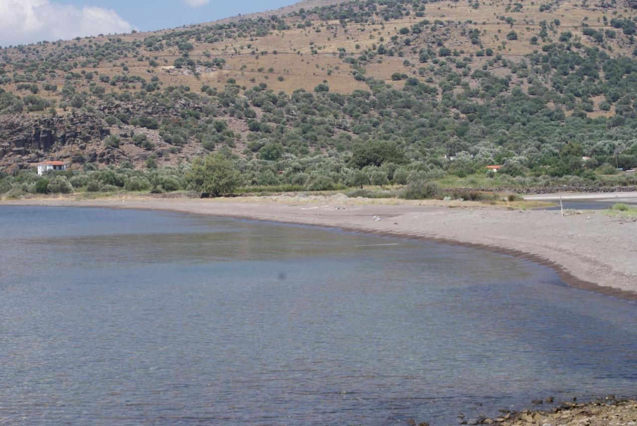 "Koukmos Beach" Greenspace Living - Private Sandy Beach Parakoila Bagian luar foto