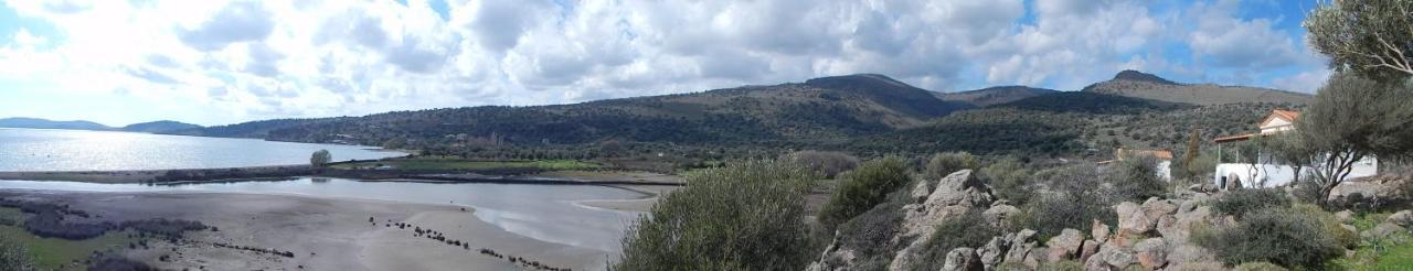 "Koukmos Beach" Greenspace Living - Private Sandy Beach Parakoila Bagian luar foto