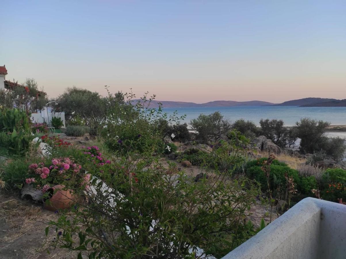 "Koukmos Beach" Greenspace Living - Private Sandy Beach Parakoila Bagian luar foto